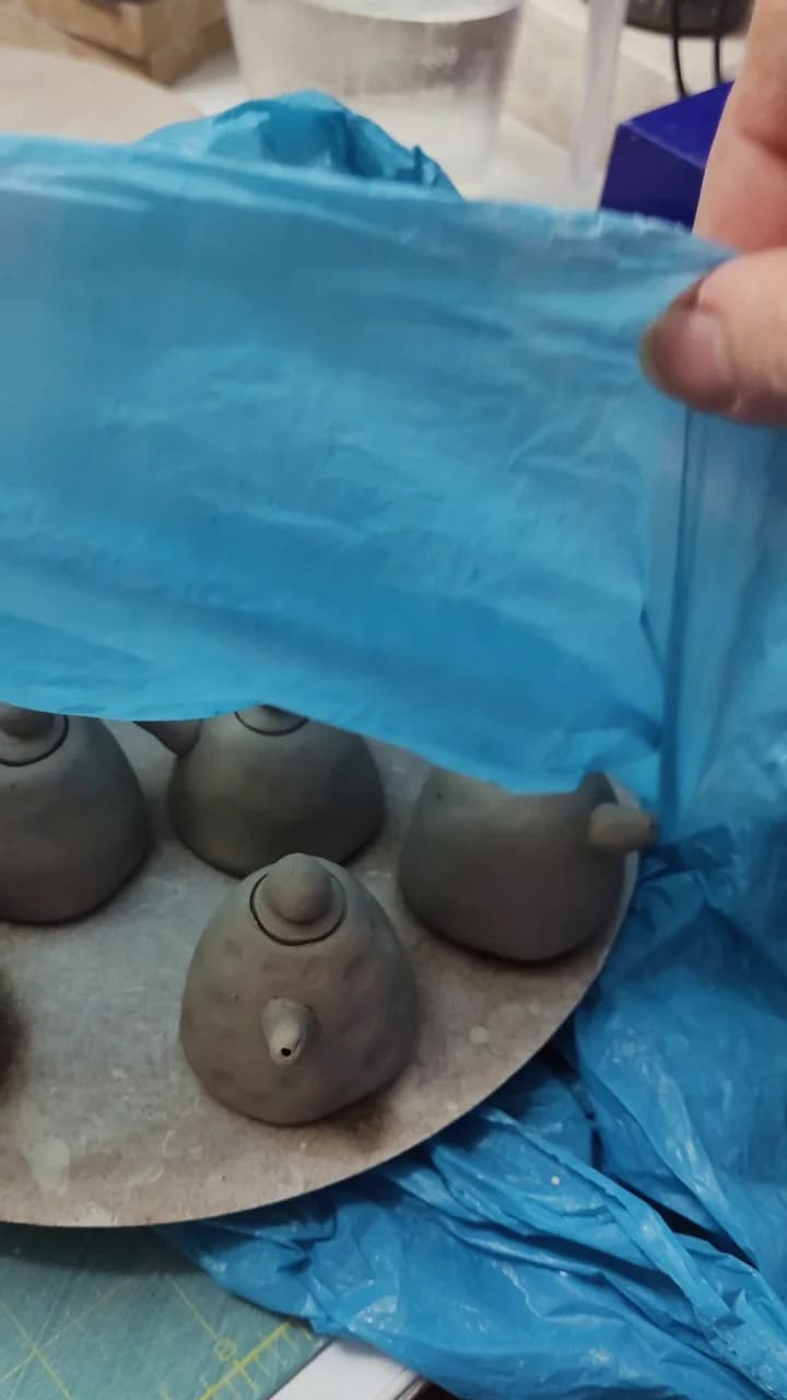 reels
